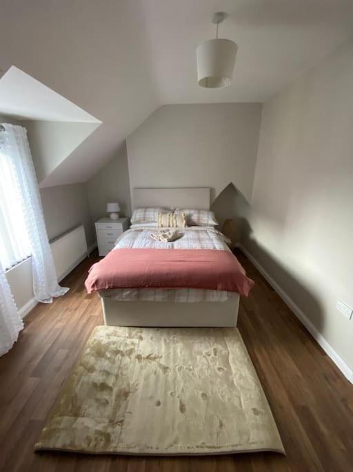The Cozy Homestay Белфаст Екстер'єр фото